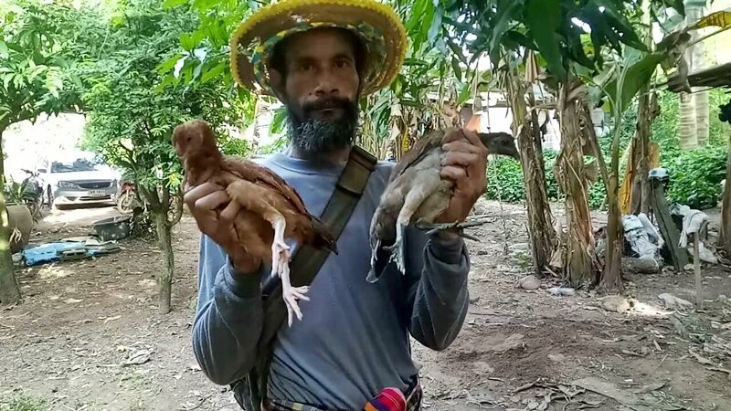 ไก่ประหลาด 10นิ้ว-จิ้งจก 2หาง แห่ตีเลขเด็ด ให้โชคหลายงวดติด 4
